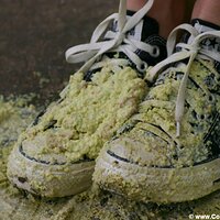  : Gallery : converse : 2005 : 37 : IMG_2798.JPG