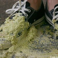  : Gallery : converse : 2005 : 37 : IMG_2802.JPG