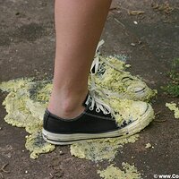  : Gallery : converse : 2005 : 37 : IMG_2808.JPG