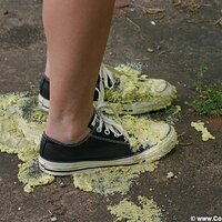  : Gallery : converse : 2005 : 37 : IMG_2809.JPG