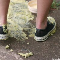  : Gallery : converse : 2005 : 37 : IMG_2817.JPG