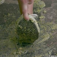  : Gallery : converse : 2005 : 37 : IMG_2824.JPG