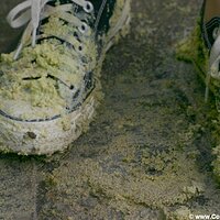  : Gallery : converse : 2005 : 37 : IMG_2833.JPG