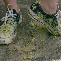  : Gallery : converse : 2005 : 37 : IMG_2834.JPG