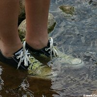  : Gallery : converse : 2005 : 40 : IMG_2857.JPG