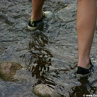  : Gallery : converse : 2005 : 40 : IMG_2863.JPG