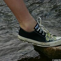  : Gallery : converse : 2005 : 40 : IMG_2866.JPG