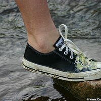  : Gallery : converse : 2005 : 40 : IMG_2867.JPG