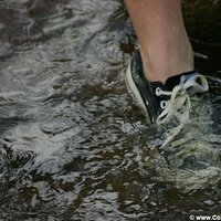  : Gallery : converse : 2005 : 40 : IMG_2872.JPG