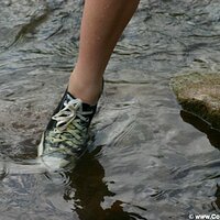  : Gallery : converse : 2005 : 40 : IMG_2876.JPG