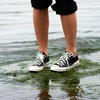  : Gallery : converse : 2006 : 09 : IMG_6272.JPG