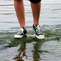  : Gallery : converse : 2006 : 09 : IMG_6273.JPG