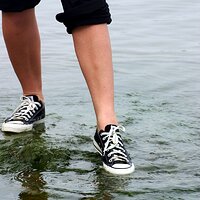  : Gallery : converse : 2006 : 09 : IMG_6292.JPG