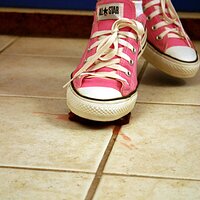  : Gallery : converse : 2006 : 25 : IMG_9805.JPG