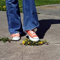  : Gallery : converse : 2006 : 29 : IMG_0629.JPG