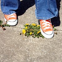  : Gallery : converse : 2006 : 29 : IMG_0632.JPG
