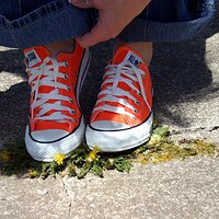  : Gallery : converse : 2006 : 29 : IMG_0657.JPG