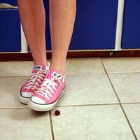  : Gallery : converse : 2006 : 37 : IMG_9758.JPG