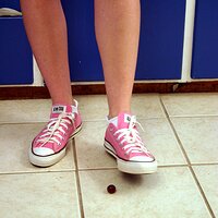  : Gallery : converse : 2006 : 37 : IMG_9759.JPG