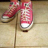  : Gallery : converse : 2006 : 37 : IMG_9764.JPG