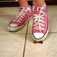  : Gallery : converse : 2006 : 37 : IMG_9765.JPG