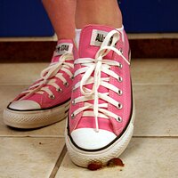  : Gallery : converse : 2006 : 37 : IMG_9767.JPG