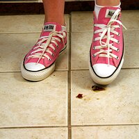  : Gallery : converse : 2006 : 37 : IMG_9772.JPG
