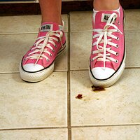  : Gallery : converse : 2006 : 37 : IMG_9773.JPG