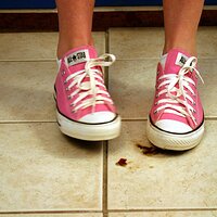  : Gallery : converse : 2006 : 37 : IMG_9774.JPG
