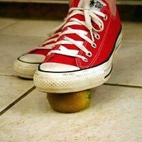  : Gallery : converse : 2006 : 42 : IMG_0364.JPG