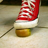  : Gallery : converse : 2006 : 42 : IMG_0366.JPG
