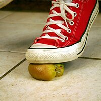  : Gallery : converse : 2006 : 42 : IMG_0367.JPG
