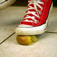  : Gallery : converse : 2006 : 42 : IMG_0368.JPG