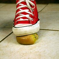  : Gallery : converse : 2006 : 42 : IMG_0369.JPG