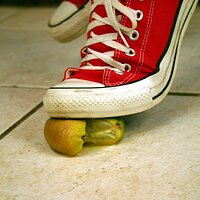  : Gallery : converse : 2006 : 42 : IMG_0370.JPG