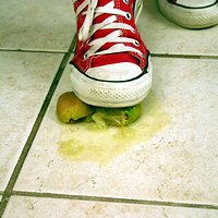  : Gallery : converse : 2006 : 42 : IMG_0377.JPG
