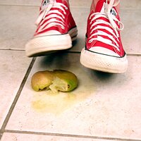  : Gallery : converse : 2006 : 42 : IMG_0378.JPG