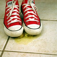  : Gallery : converse : 2006 : 42 : IMG_0379.JPG