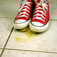  : Gallery : converse : 2006 : 42 : IMG_0380.JPG