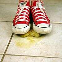  : Gallery : converse : 2006 : 42 : IMG_0381.JPG