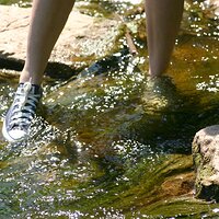  : Gallery : converse : 2008 : 37 : IMG_7222.JPG