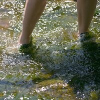  : Gallery : converse : 2008 : 37 : IMG_7235.JPG