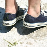  : Gallery : converse : 2008 : 37 : IMG_7273.JPG