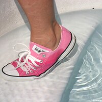  : Gallery : converse : 2009 : 08 : img_8439.jpg