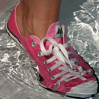 : Gallery : converse : 2009 : 08 : img_8452.jpg