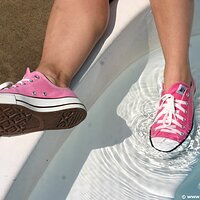  : Gallery : converse : 2009 : 08 : img_8495.jpg
