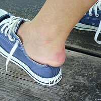  : Gallery : converse : 2010 : 44 : img_9671.jpg
