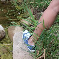  : Gallery : converse : 2012 : 46 : IMG_3419.JPG