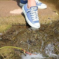  : Gallery : converse : 2012 : 46 : IMG_3486.JPG