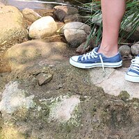  : Gallery : converse : 2012 : 46 : IMG_3510.JPG